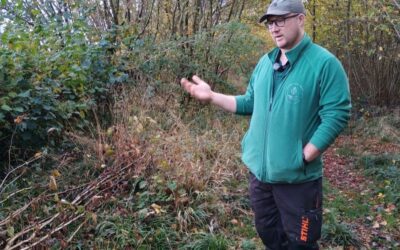 Green Light Trust awarded vital funding for essential woodland management